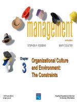 organizational culture and environment the constraints