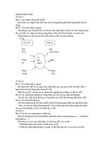 Mục tiêu chuẩn kiến thức lớp 4 môn Khoa học