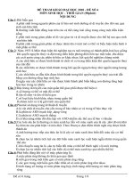 ĐỀ THAM KHẢO ĐẠI HỌC 2010-ĐỀ 4