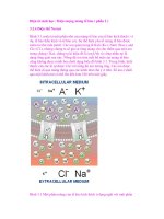 Điện từ sinh học / Hiện tượng màng tế bào ( phần 2 ) ppt