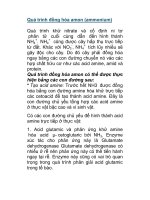 Quá trình đồng hóa amon (ammonium) pdf