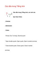 Các dấu trong Tiếng Anh doc