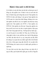 Bệnh ở tôm nuôi và đôi lời bàn potx