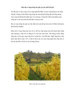 Mùa thu ở vùng trồng nho gần cực bắc nhất thế giới potx