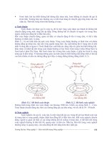 Khoa Học Vũ Trụ - Sinh Thái Tầng Khí Quyển phần 9 pot