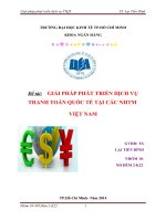 GIẢI PHÁP PHÁT TRIỂN DỊCH VỤ THANH TOÁN QUỐC TẾ TẠI CÁC NHTM  VIỆT NAM