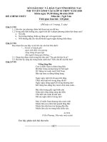 ĐỀ THI TUYỂN LỚP NGỮ VĂN - ĐỒNG NAI (29/6/2010)