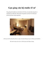 Gọn gàng căn hộ studio 43 m² Cũng giống như đa phần các căn hộ nhỏ tại Việt pps