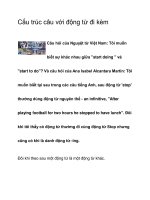 Cấu trúc câu với động từ đi kèm pptx