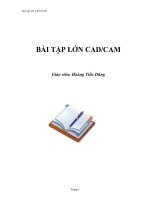 BÀI TẬP LỚN CAD/CAM - Hoàng Tiến Dũng docx
