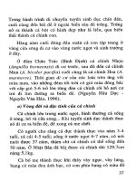 Ngư Nghiệp - Cá Quả, Cá Chình, Cá Chạch phần 4 pdf