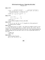 De+D.an chuyen tin vong 2 Lam Son 20-6-2010