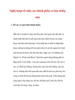 Nghệ thuật tổ chức các thành phần cơ bản nhiếp ảnh pps