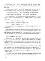 Công Nghệ - Kỹ Thuật Sán XUất Chất Màu Gốm Sứ phần 2 ppt