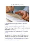 Hệ thống phân loại xếp hạng tín dụng doc