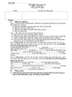 Đề thi HKI Văn 12