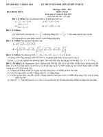 DE TOAN vao 10 TP HCM (10-11)