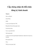 Cấp chứng nhận đủ điều kiện đăng ký kinh doanh pps