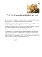 Hải sản Tu hài bị khai thác triệt để ở vịnh Vân Phong