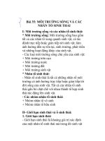 Bài 35: MÔI TRƯỜNG SỐNG VÀ CÁC NHÂN TỐ SINH THÁI pot