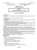 Bài viết số 1 Văn 12 (2008-2009)