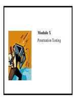 Module X Penetration Testing doc