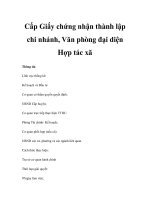 Cấp Giấy chứng nhận thành lập chi nhánh, Văn phòng đại diện Hợp tác xã pdf