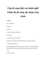 Cấp bổ sung lĩnh vực hành nghề Giám sát thi công xây dựng công trình pps