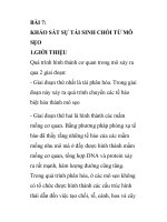 BÀI 7: KHẢO SÁT SỰ TÁI SINH CHỒI TỪ MÔ SẸO pps