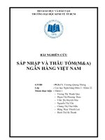 BÀI NGHIÊN CỨU  SÁP NHẬP VÀ THÂU TÓM(MA) NGÂN HÀNG VIỆT NAM