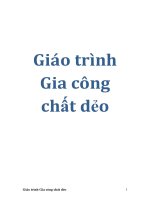 Giáo trình Gia công chất dẻo pps
