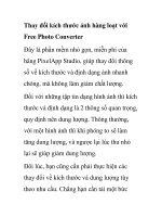Thay đổi kích thước ảnh hàng loạt với Free Photo Converter ppt