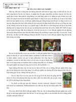 Các Chất Gây Nghiện