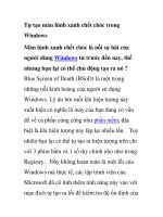 Tự tạo màn hình xanh chết chóc trong Windows pot