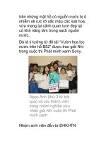 trên những mặt hồ có nguồn nước bị ô nhiễm sẽ rực rỡ sắc màu các loài hoa. ppsx