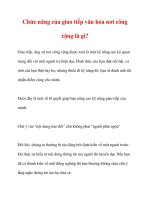 Chức năng của giao tiếp văn hóa nơi công cộng là gì? potx