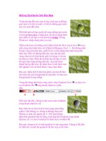 Những Giọt Nước Rơi Đầu Mùa pdf