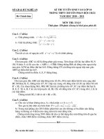 TSL10 Chuyen Toan Nghệ An 10-11