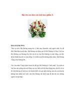 Đặt tên con theo các loài hoa (phần 2) ppt