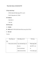 Thực hành: Quan sát hình thái NST docx