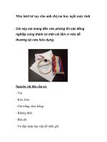 Mèo lười kê tay cho anh chị em hay ngồi máy tính docx