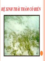 Hệ sinh thái thảm cỏ biển ppsx