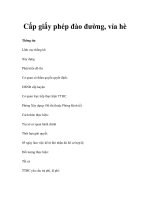 Cấp giấy phép đào đường, vỉa hè pdf