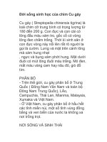 Đời sống sinh học của chim Cu gáy ppsx