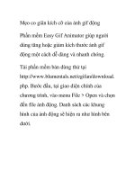 Mẹo co giãn kích cỡ của ảnh gif động Phần mềm Easy Gif ppt