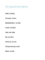 Từ vựng về các loài cá pps