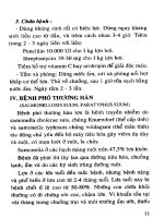 Nông Nghiệp Chăn Nuôi - Các Bệnh Của Lợn phần 2 pptx