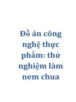 Đồ án công nghệ thực phẩm: thử nghiệm làm nem chua pptx