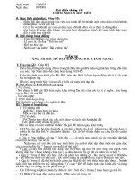 Hoat dong NGLL Lop 7