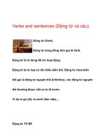 Verbs and sentences (Động từ và câu) ppt